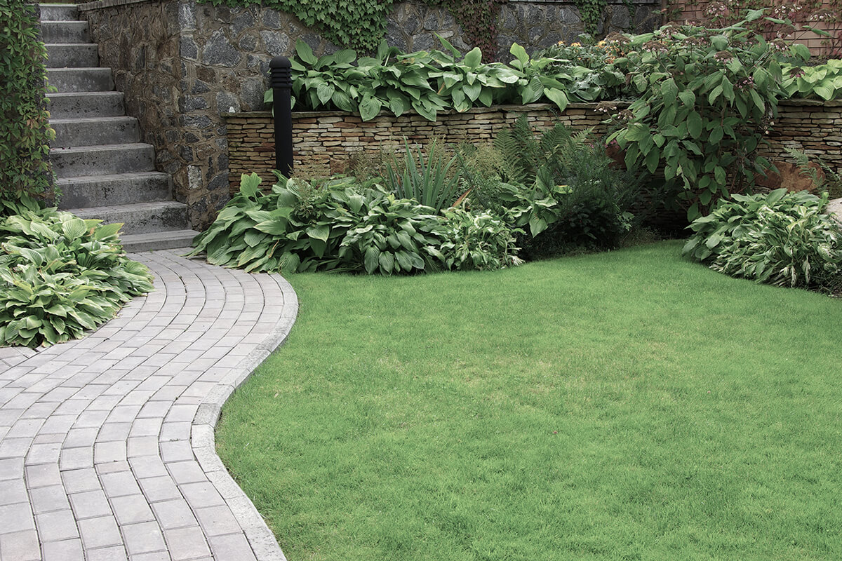 Welcome to LG Landscaping